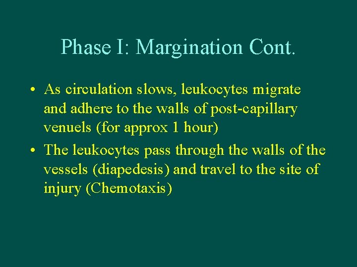 Phase I: Margination Cont. • As circulation slows, leukocytes migrate and adhere to the