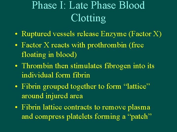 Phase I: Late Phase Blood Clotting • Ruptured vessels release Enzyme (Factor X) •