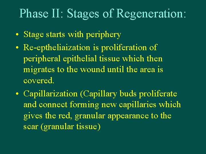 Phase II: Stages of Regeneration: • Stage starts with periphery • Re-eptheliaization is proliferation