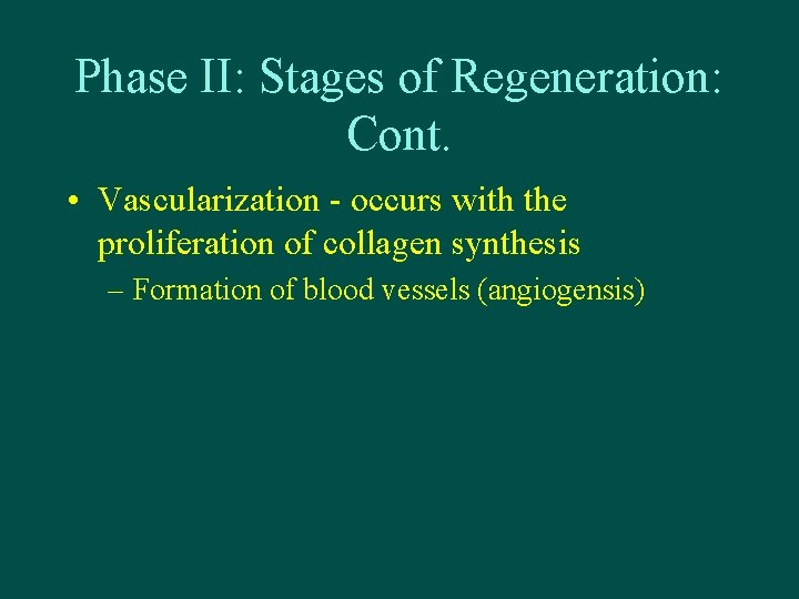 Phase II: Stages of Regeneration: Cont. • Vascularization - occurs with the proliferation of