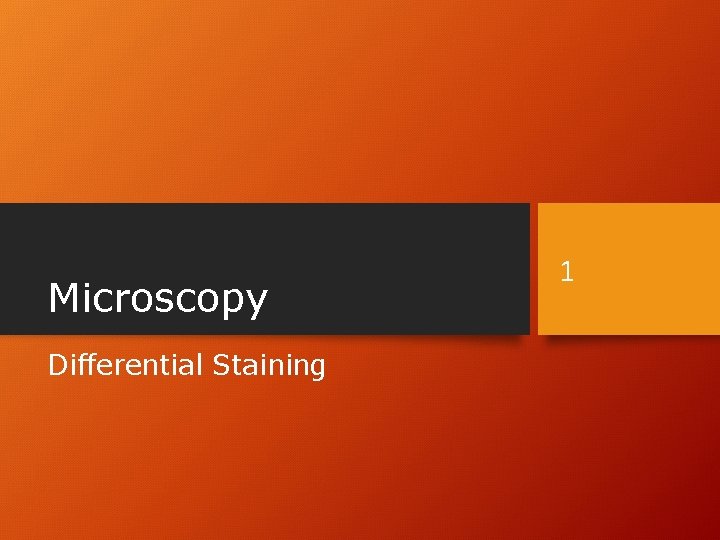 Microscopy Differential Staining 1 