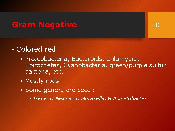 Gram Negative 10 • Colored • Proteobacteria, Bacteroids, Chlamydia, Spirochetes, Cyanobacteria, green/purple sulfur bacteria,