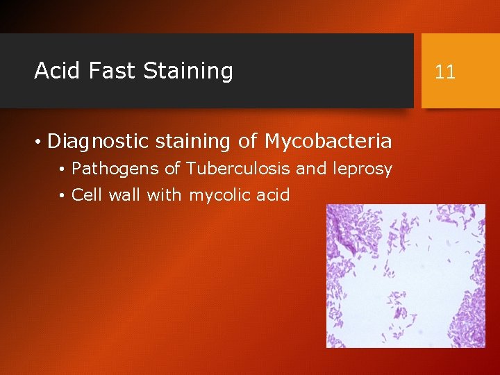 Acid Fast Staining • Diagnostic staining of Mycobacteria • Pathogens of Tuberculosis and leprosy