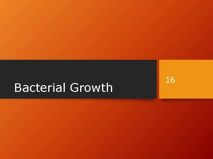Bacterial Growth 16 