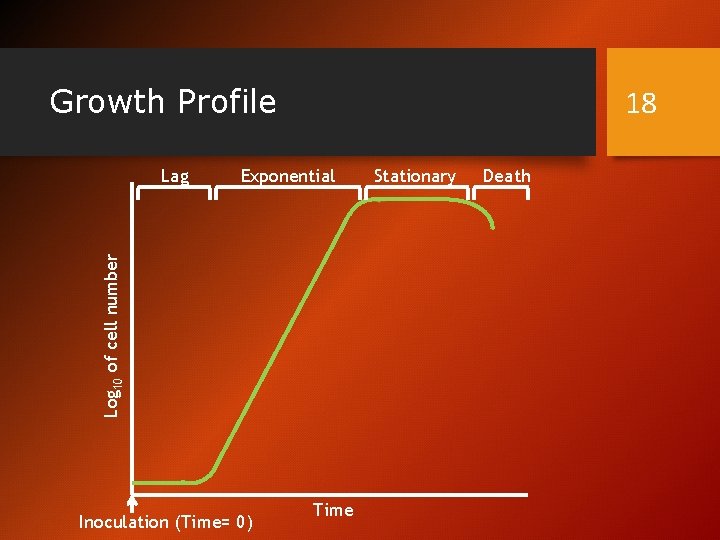 Growth Profile Exponential Log 10 of cell number Lag 18 Inoculation (Time= 0) Time