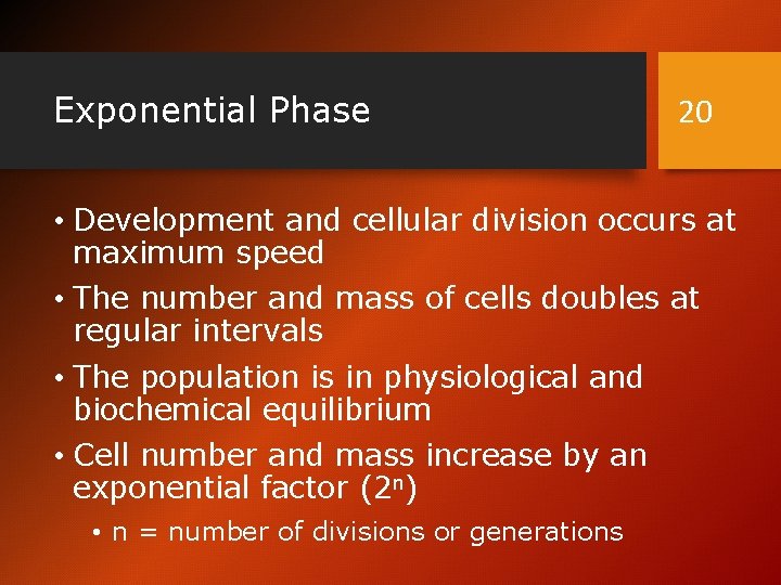Exponential Phase 20 • Development and cellular division occurs at maximum speed • The