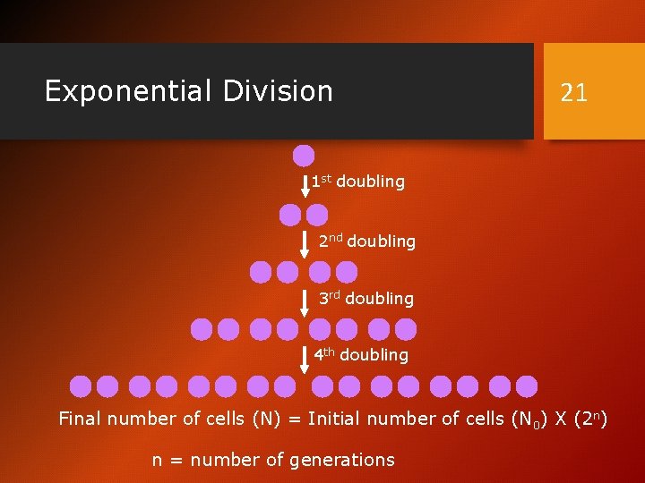 Exponential Division 21 1 st doubling 2 nd doubling 3 rd doubling 4 th