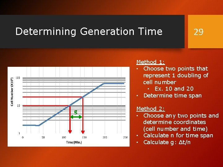 Determining Generation Time 29 Method 1: • Choose two points that represent 1 doubling