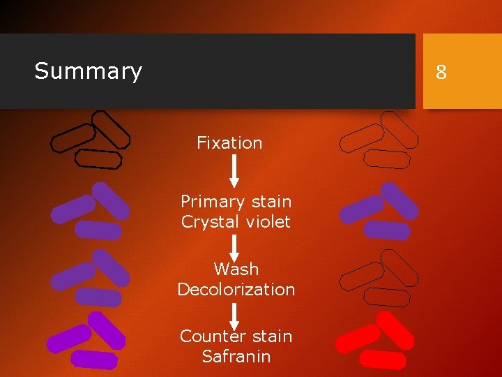 Summary 8 Fixation Primary stain Crystal violet Wash Decolorization Counter stain Safranin 