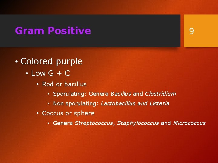 Gram Positive 9 • Colored purple • Low G + C • Rod or