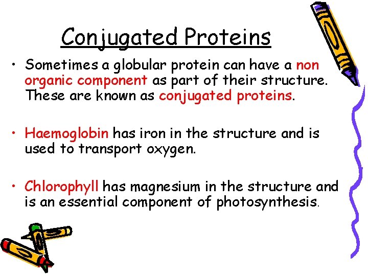 Conjugated Proteins • Sometimes a globular protein can have a non organic component as