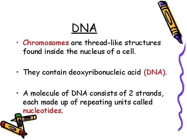 DNA • Chromosomes are thread-like structures found inside the nucleus of a cell. •