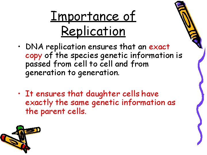 Importance of Replication • DNA replication ensures that an exact copy of the species