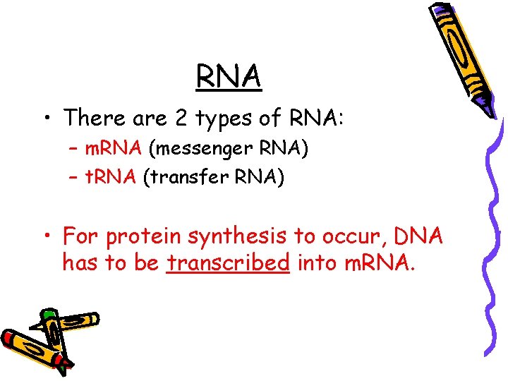 RNA • There are 2 types of RNA: – m. RNA (messenger RNA) –
