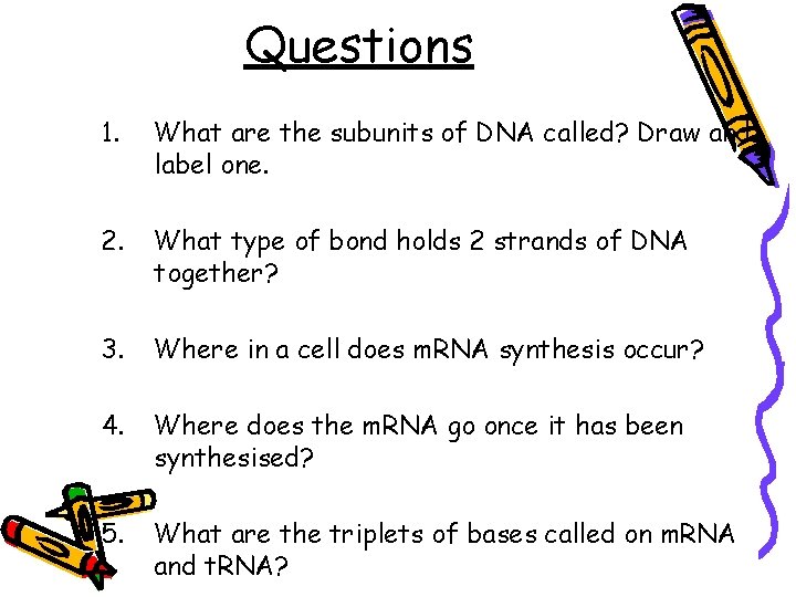 Questions 1. What are the subunits of DNA called? Draw and label one. 2.