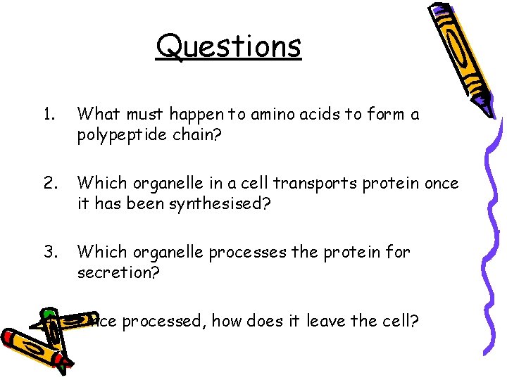 Questions 1. What must happen to amino acids to form a polypeptide chain? 2.