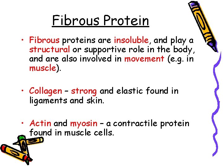 Fibrous Protein • Fibrous proteins are insoluble, and play a structural or supportive role