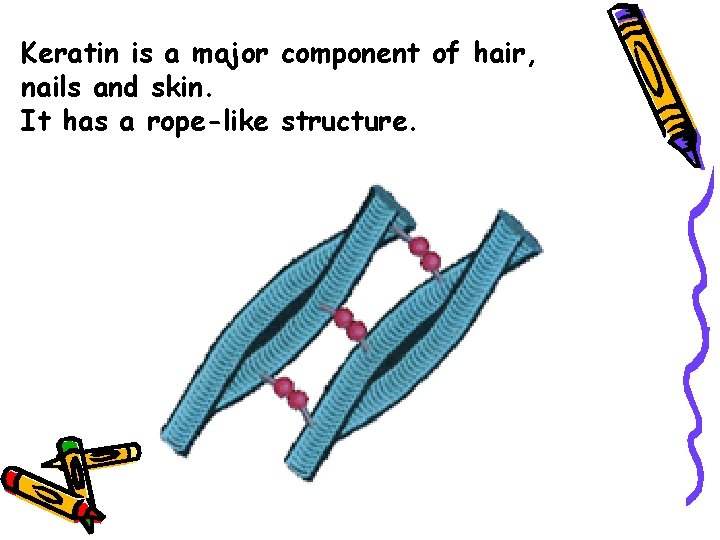 Keratin is a major component of hair, nails and skin. It has a rope-like