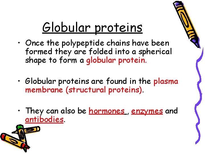 Globular proteins • Once the polypeptide chains have been formed they are folded into