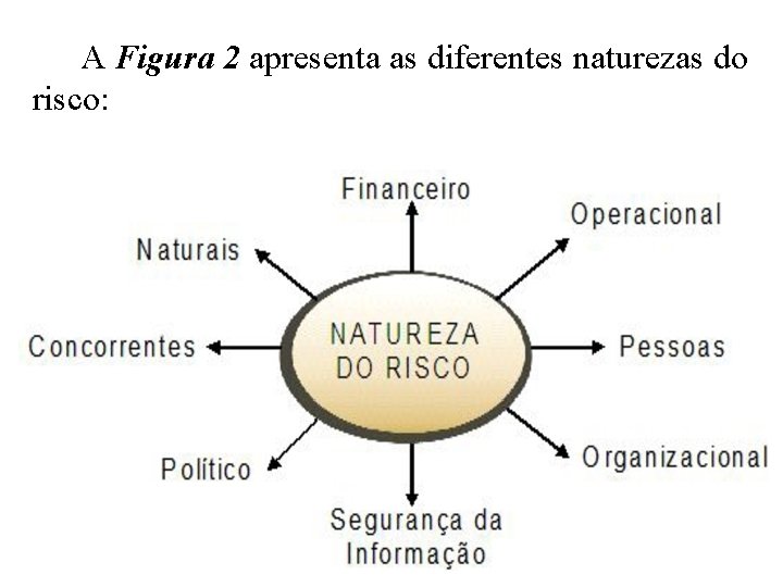 A Figura 2 apresenta as diferentes naturezas do risco: 