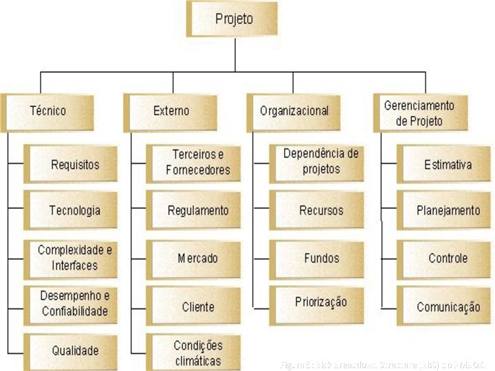 Figura 5: Risk Breakdown Structure (RBS) do PMBOK. 