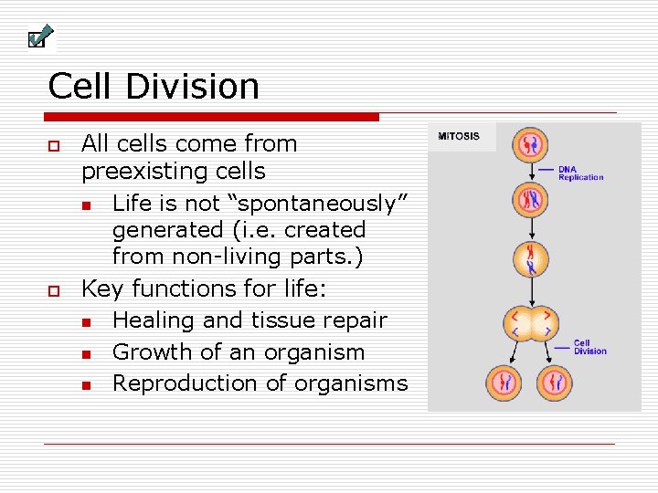 Cell Division o o All cells come from preexisting cells n Life is not Cell Division o o All cells come from preexisting cells n Life is not