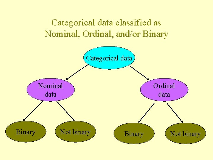 Types Of Data Types Of Data Categorical Data