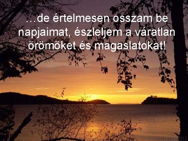 …de értelmesen osszam be napjaimat, észleljem a váratlan örömöket és magaslatokat! 