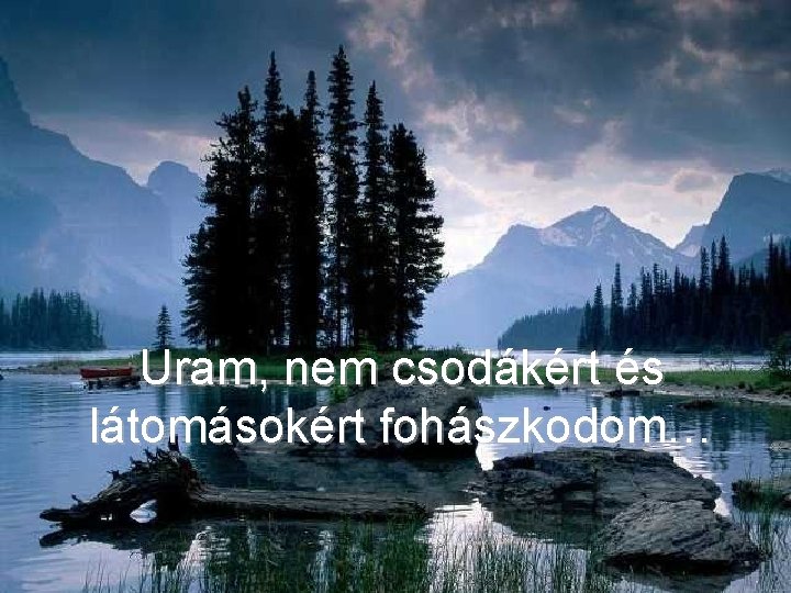 Uram, nem csodákért és látomásokért fohászkodom… 