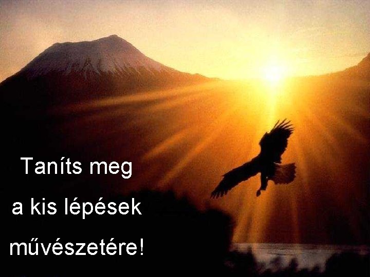 Taníts meg a kis lépések művészetére! 