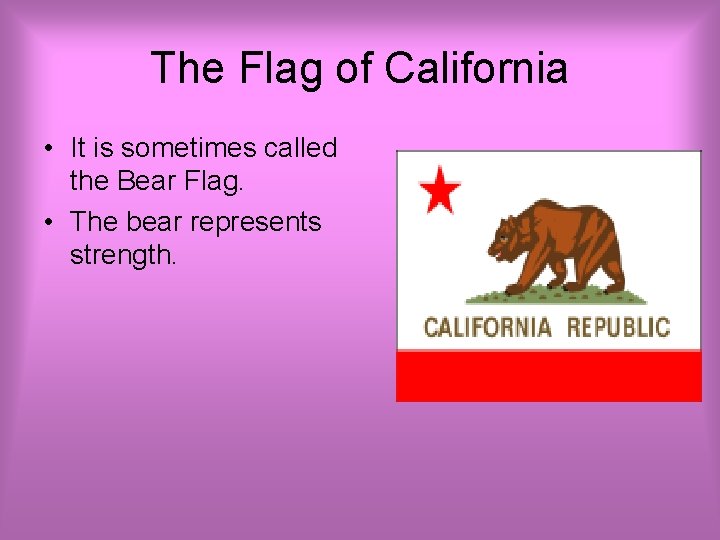 The Flag of California • It is sometimes called the Bear Flag. • The