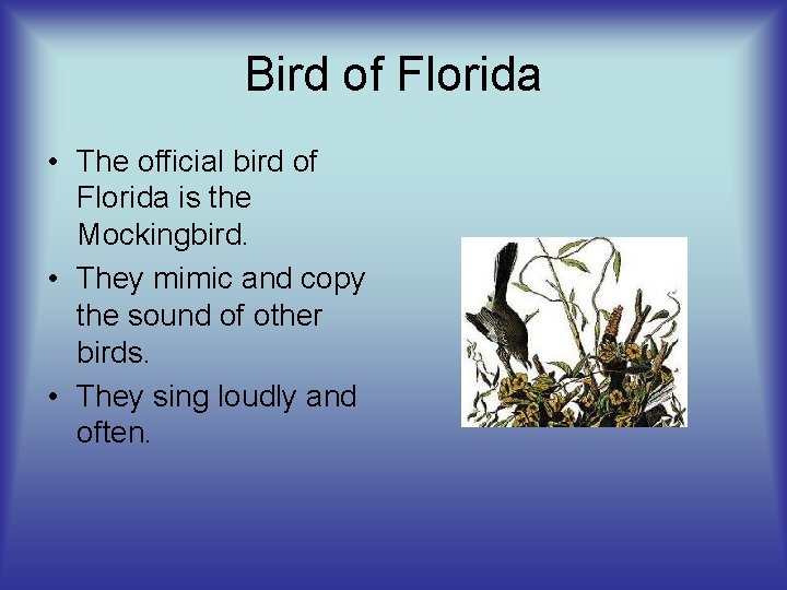 Bird of Florida • The official bird of Florida is the Mockingbird. • They