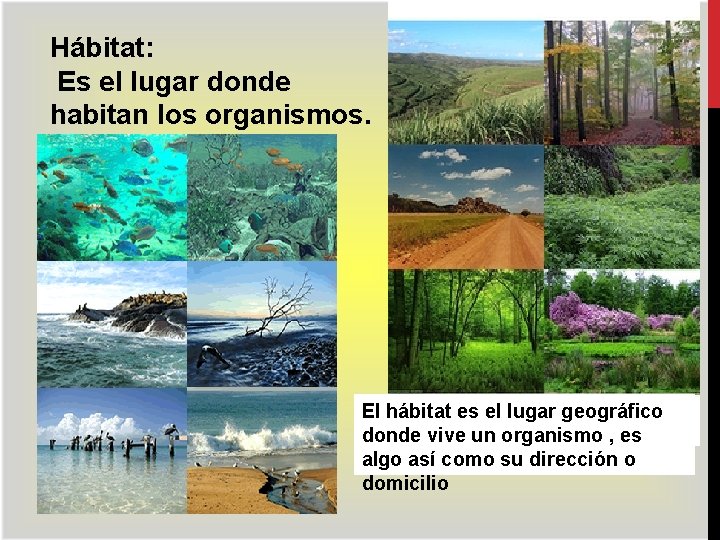 Hábitat: Es el lugar donde habitan los organismos. El hábitat es el lugar geográfico