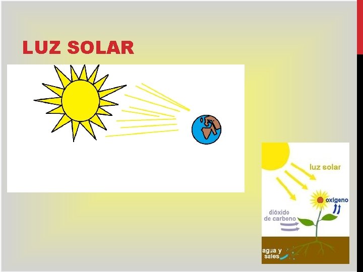 LUZ SOLAR 