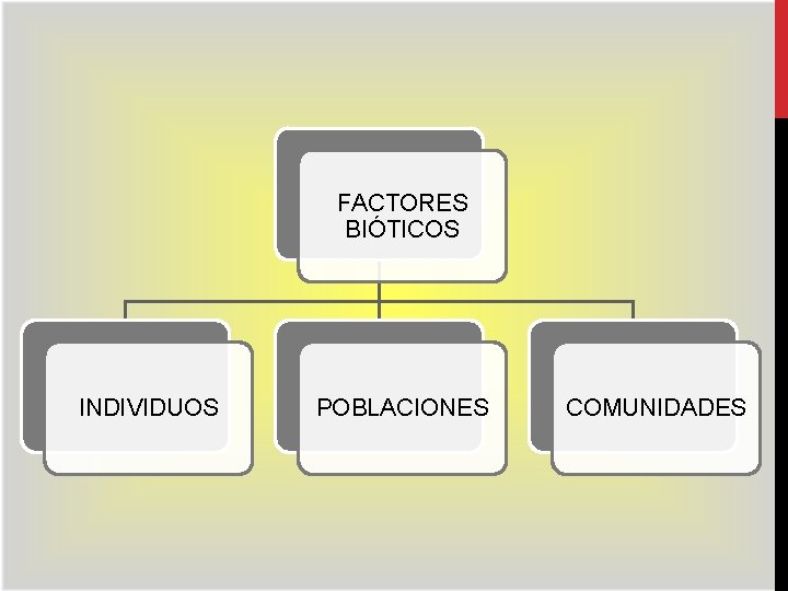 FACTORES BIÓTICOS INDIVIDUOS POBLACIONES COMUNIDADES 