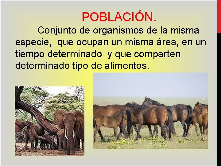 POBLACIÓN. Conjunto de organismos de la misma especie, que ocupan un misma área, en