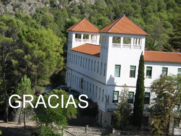 GRACIAS GRACIAS