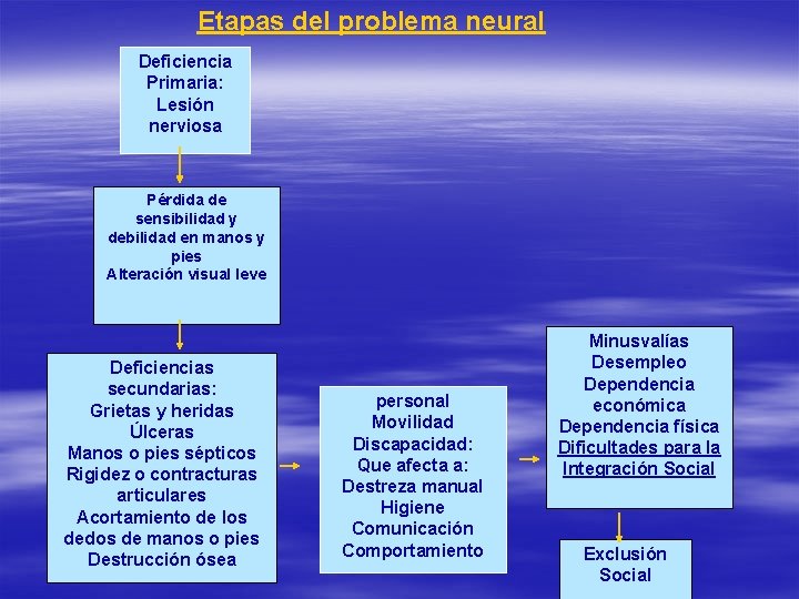 Etapas del problema neural Deficiencia Primaria: Lesión nerviosa Pérdida de sensibilidad y debilidad en Etapas del problema neural Deficiencia Primaria: Lesión nerviosa Pérdida de sensibilidad y debilidad en
