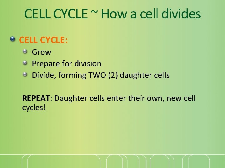 CELL CYCLE ~ How a cell divides CELL CYCLE: Grow Prepare for division Divide,