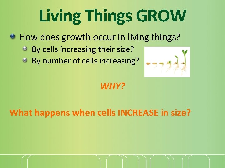 Living Things GROW How does growth occur in living things? By cells increasing their