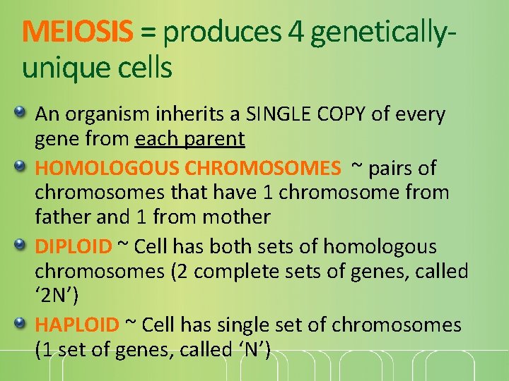 MEIOSIS = produces 4 geneticallyunique cells An organism inherits a SINGLE COPY of every