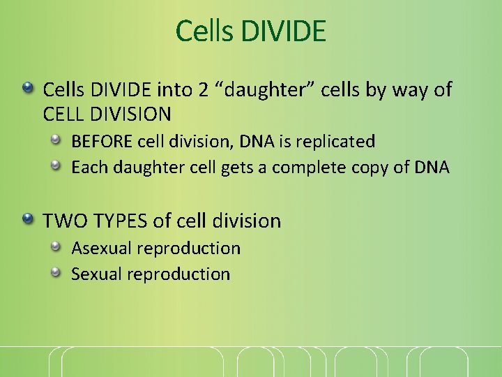 Cells DIVIDE into 2 “daughter” cells by way of CELL DIVISION BEFORE cell division,