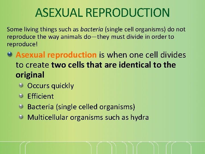 ASEXUAL REPRODUCTION Some living things such as bacteria (single cell organisms) do not reproduce