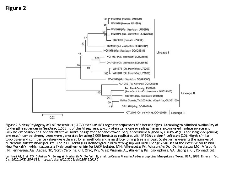 Figure 2 nbsp Phylogeny of La Crosse virus