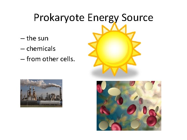 Prokaryote Energy Source – the sun – chemicals – from other cells. 