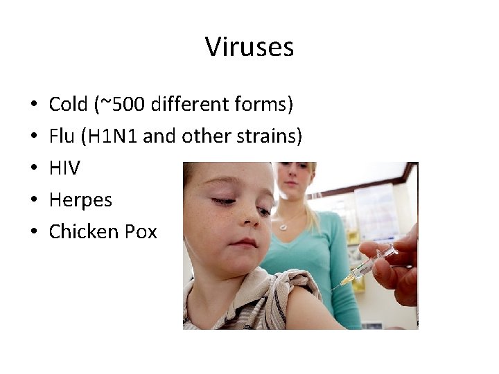 Viruses • • • Cold (~500 different forms) Flu (H 1 N 1 and