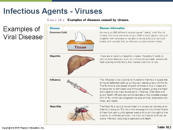 Infectious Agents - Viruses Examples of Viral Diseases Copyright © 2010 Pearson Education, Inc.