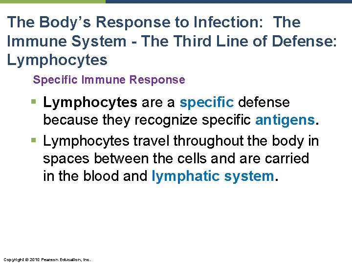 The Body’s Response to Infection: The Immune System - The Third Line of Defense: