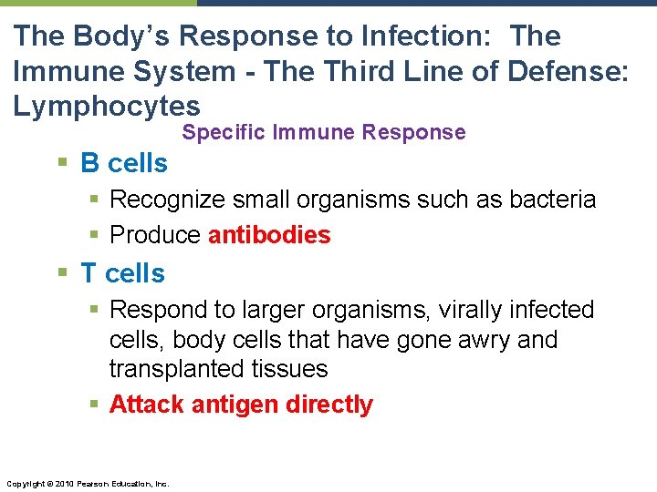 The Body’s Response to Infection: The Immune System - The Third Line of Defense: