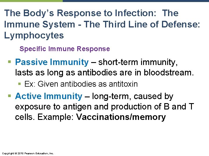 The Body’s Response to Infection: The Immune System - The Third Line of Defense: